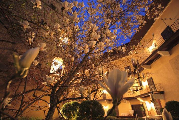 Schlosshotel Obermayerhofen Sebersdorf Екстериор снимка