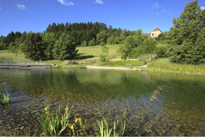Schlosshotel Obermayerhofen Sebersdorf Екстериор снимка